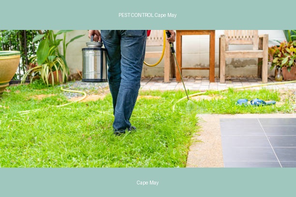 PEST CONTROL Cape May